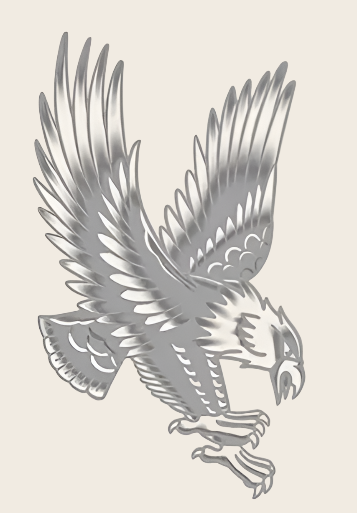 Realistic Eagle in Flight Body Art Tatoos
